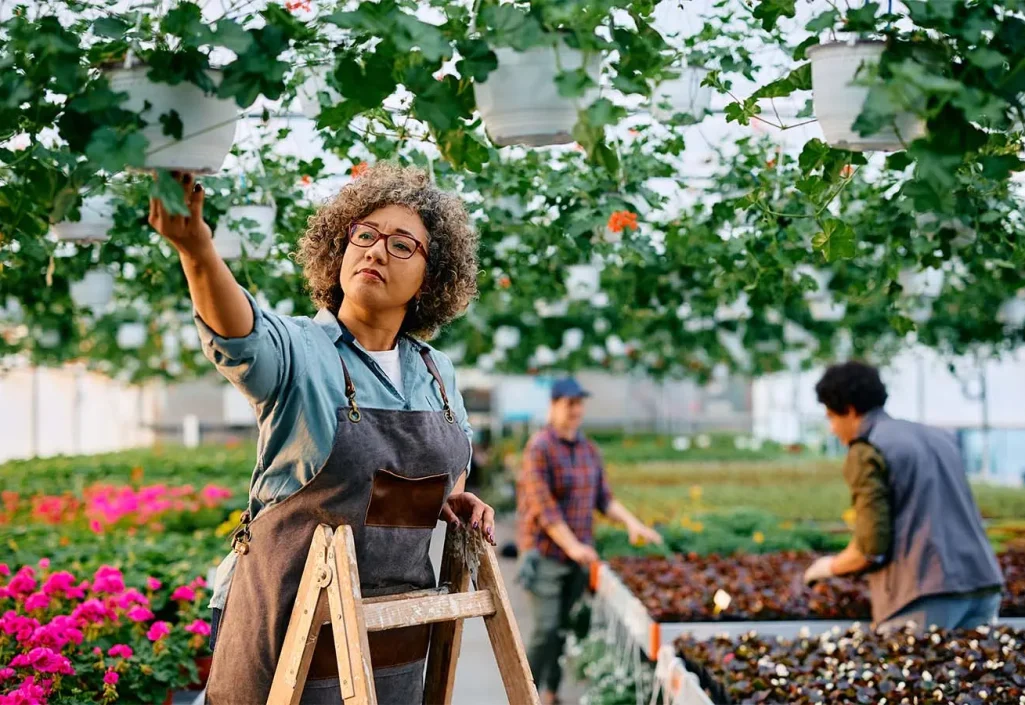 post-img-13 post-img-13